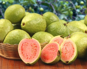 La foto mostra i frutti della guava