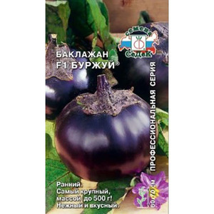Bourgeois eggplant seed packet - mataas na mapagbigay na pagkakaiba-iba