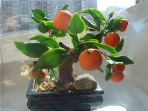 Apšvietimas mandarino medžiui