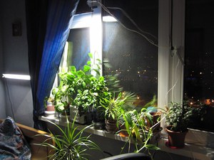 Methode voor het monteren van verlichting voor planten