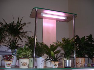 Како одабрати флуоресцентне лампе