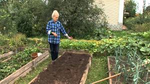 Cách chuẩn bị đất đúng cách để gieo cà chua