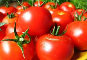 Tipos y variedades de tomates.