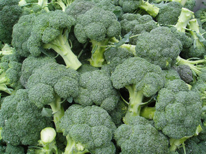 Brokolice hybrid