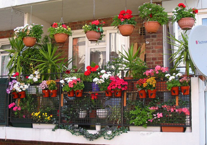 Prachtige bloemen in de decoratie van het balkon