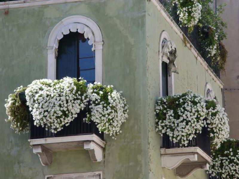 Arreglos florales en el balcón