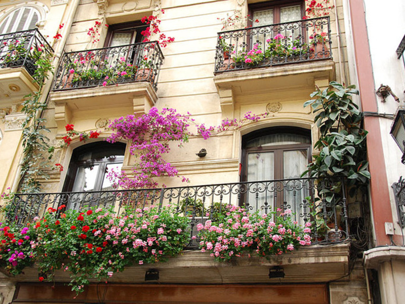 Gėlių kompozicijos balkonui,