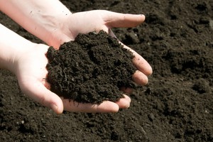 ¿Qué aditivos existen para las mezclas de tierra?