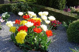 Разнообразие от растения и цветя за гробище