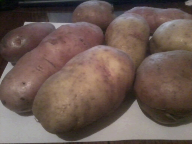 Как да изберем сорт картофи