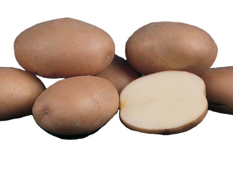 Romano Kartoffeln