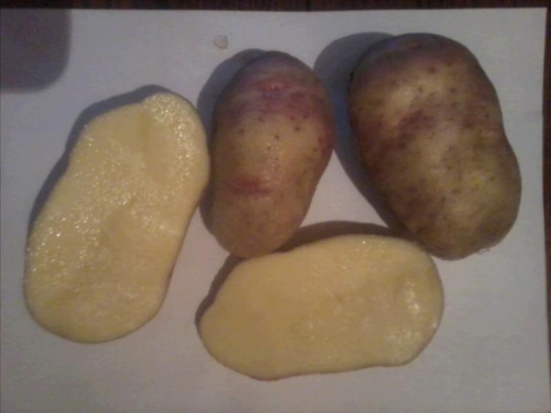 بذور البطاطس