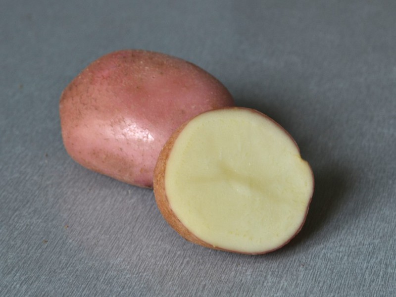 Πατάτες Romano