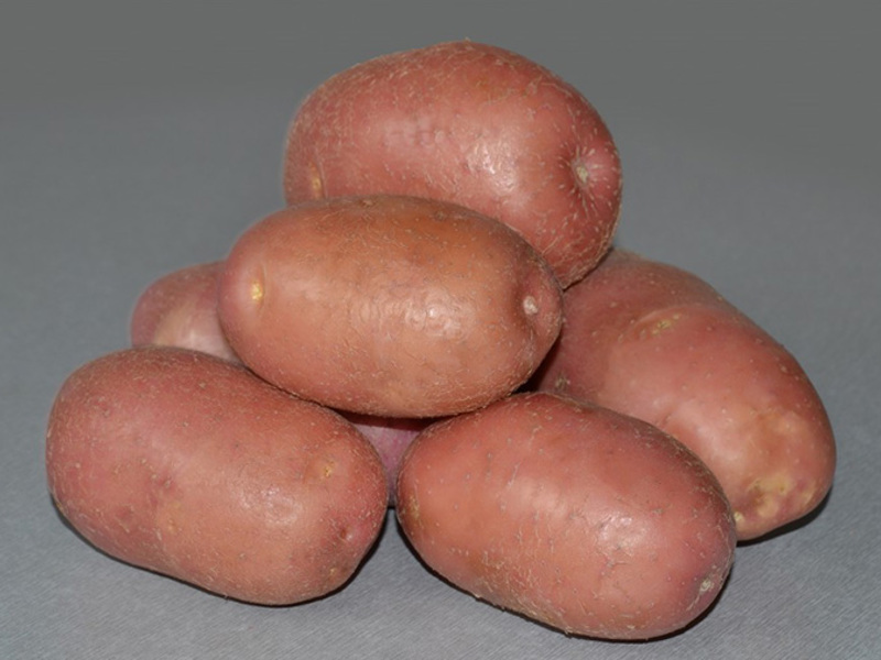 Romano patates