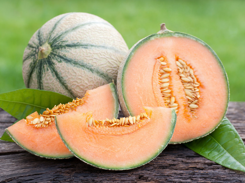 Paglalarawan ng cantaloupe melon variety Tsaritsyn Day