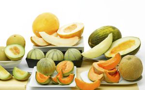 Listahan ng mga kapaki-pakinabang na elemento sa melon ng cantaloupe at mga kapaki-pakinabang na katangian