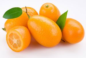 Kumquat fruitsamenstelling