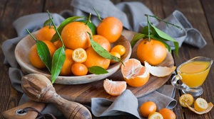 Beschrijving van de geneeskrachtige eigenschappen van de kumquat-vrucht