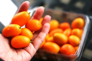 Regels voor het kiezen van kumquatfruit bij het kopen