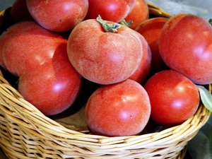 Labākās tomātu šķirnes