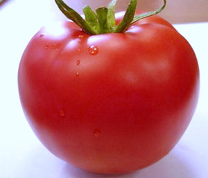Hvordan dyrke en tomat i Leningrad-regionen