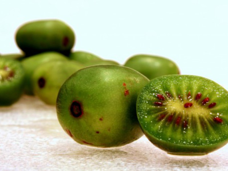 Frukt av Actenidia kryddig - vitaminer i ditt område