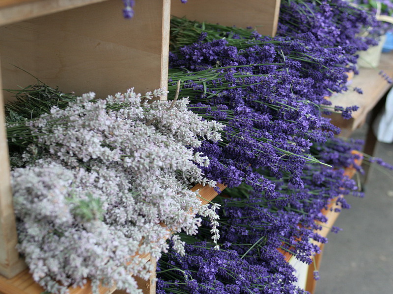 Hoe wordt lavendel gebruikt
