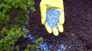 Il fertilizzante granulare viene utilizzato nelle serre e negli appezzamenti.