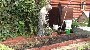 Opis metode za pripremu mjesta i tla za sadnju lavatera
