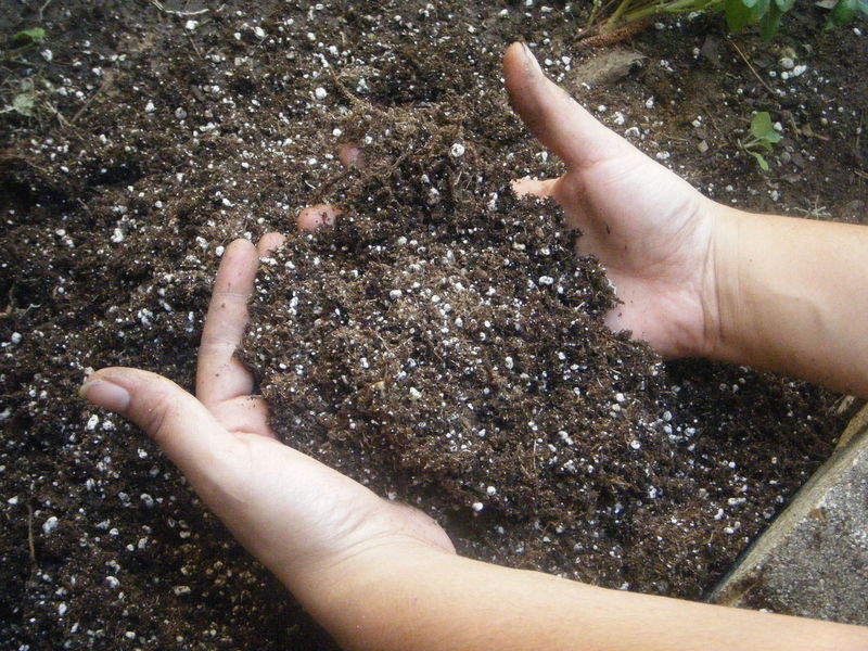 Effetto di scambio d'aria della perlite nel suolo per le piante