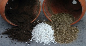 ميزات استخدام البيرلايت مع مكونات التربة الأخرى للنباتات
