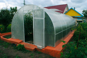 Place for a greenhouse