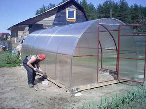 How to assemble a greenhouse correctly