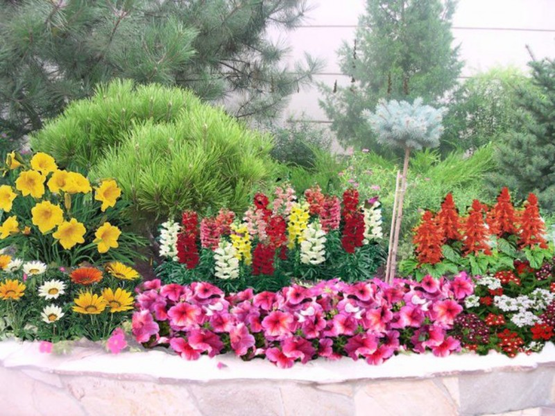 Миксбордът от храсти и многогодишни цветя е стилно решение.