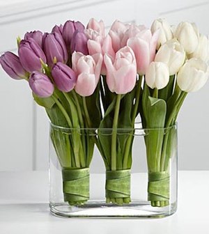 Mga panuntunan sa imbakan para sa mga hiwa ng tulips