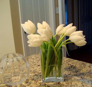 Come tagliare correttamente i tulipani