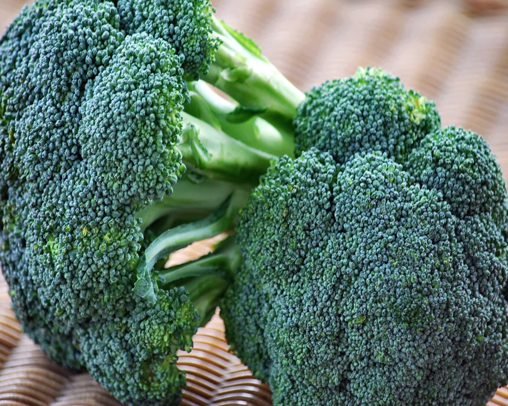 Bilakah lebih baik menyemai brokoli untuk anak benih dan menanam di tanah terbuka