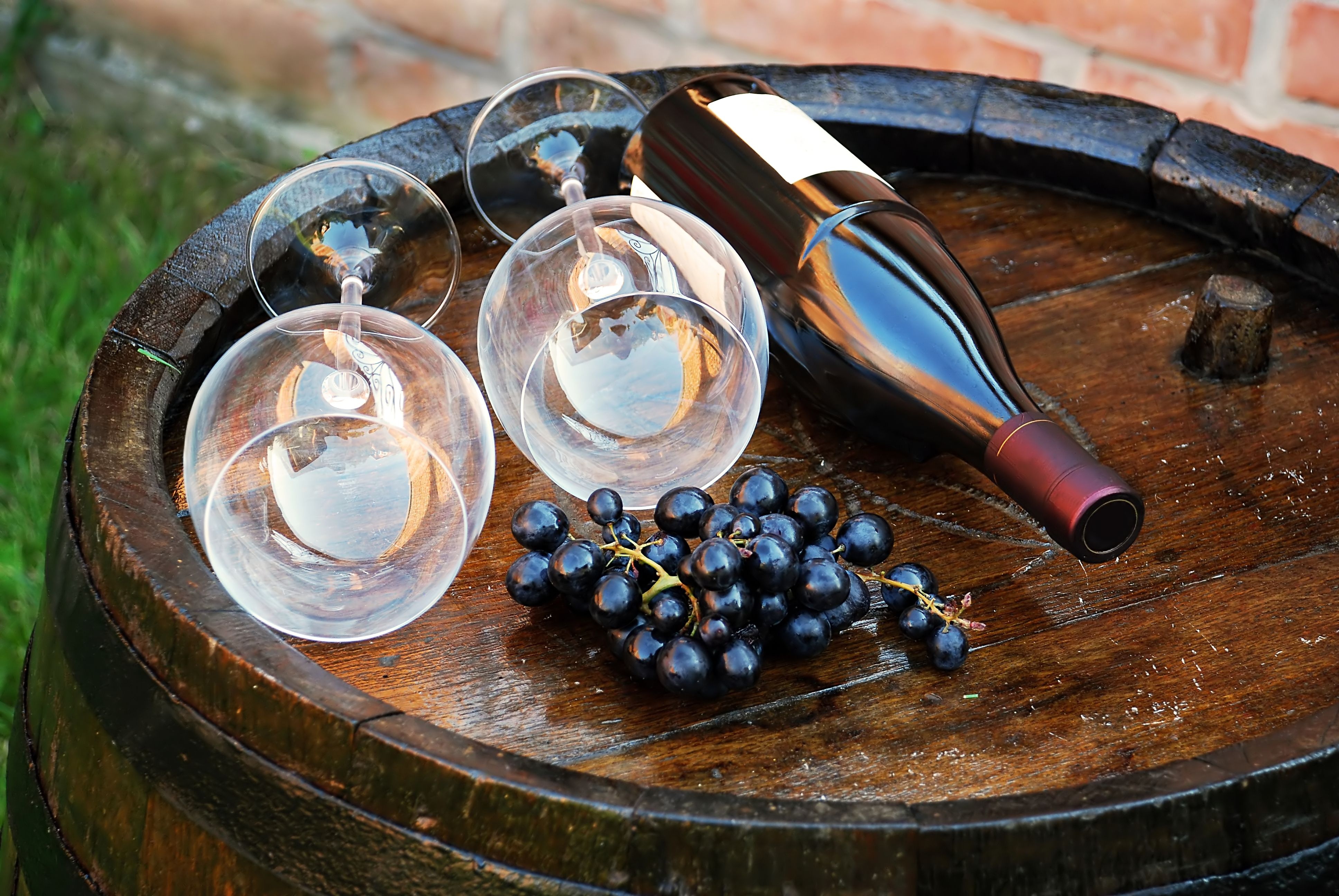Một Pinot Noir khác biệt như vậy: loại nho mà từ đó tạo ra màu đỏ Burgundy