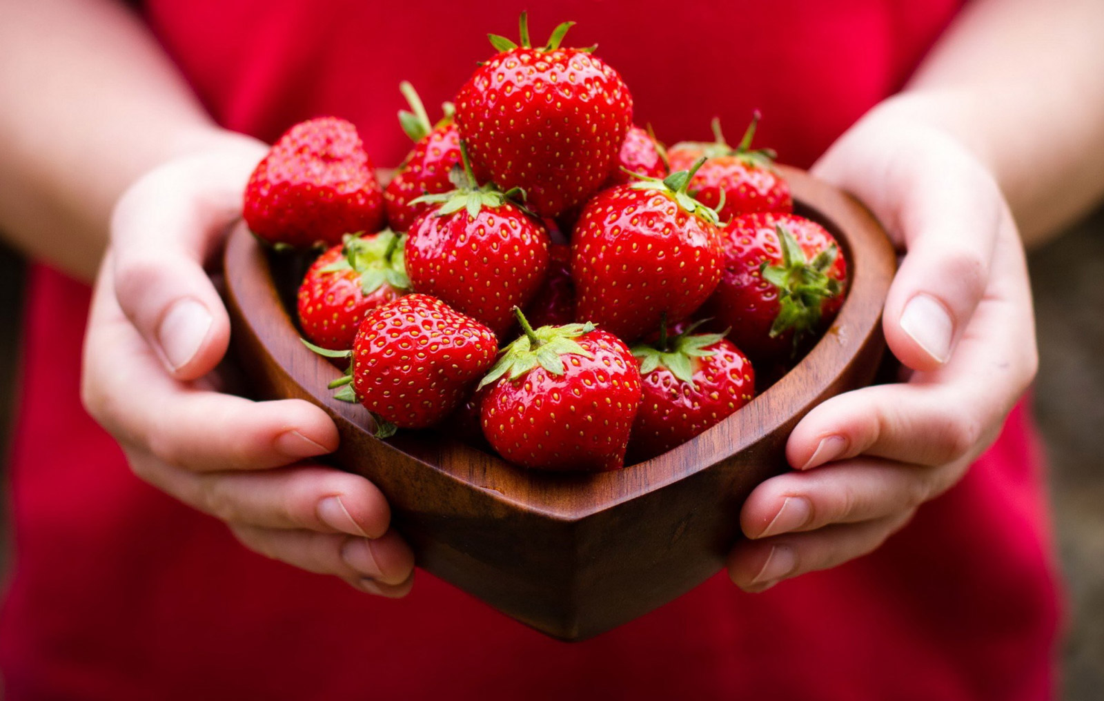 Variétés de fraises et hybrides - du plus populaire au plus exotique