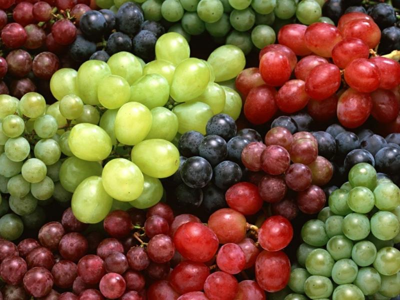 hranjenje grožđa