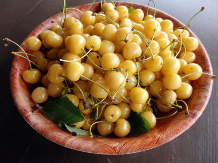 Chetmashnaya vyšnių vaisiai dubenyje