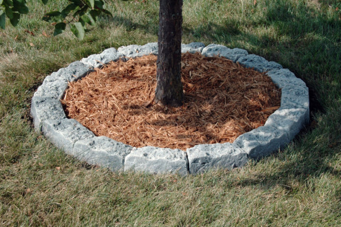 Mulch-covered trunk circle