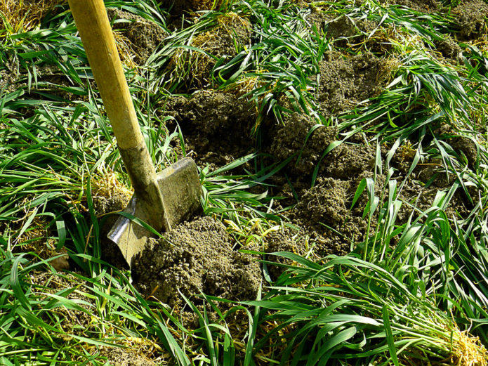 Menggali tanah dengan baja hijau