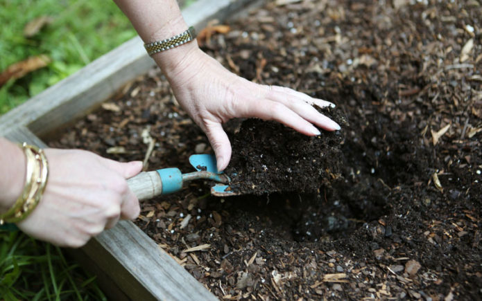 A talaj szubsztrátjának ásása