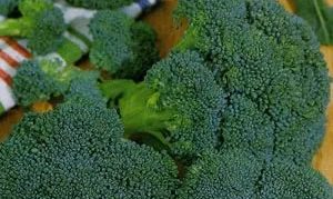 Broccoli Linda