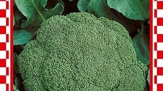 Broccoli montop