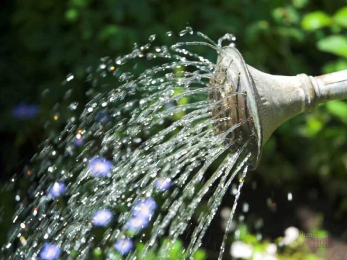 Irrigazione a pioggia