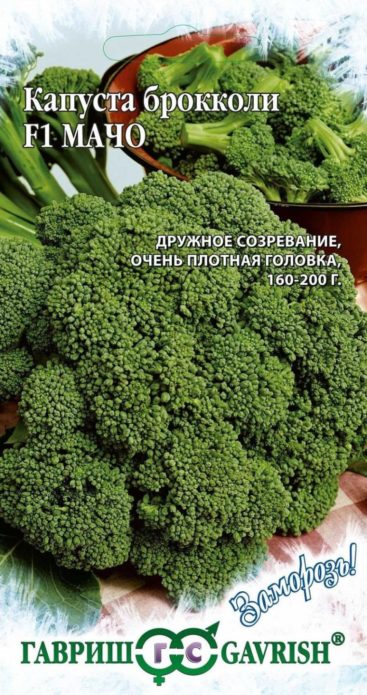 Broccoli Kool Macho F1