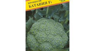 Brokolice Batavia F1