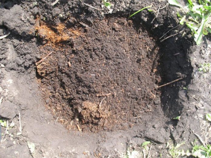 Pit with soil